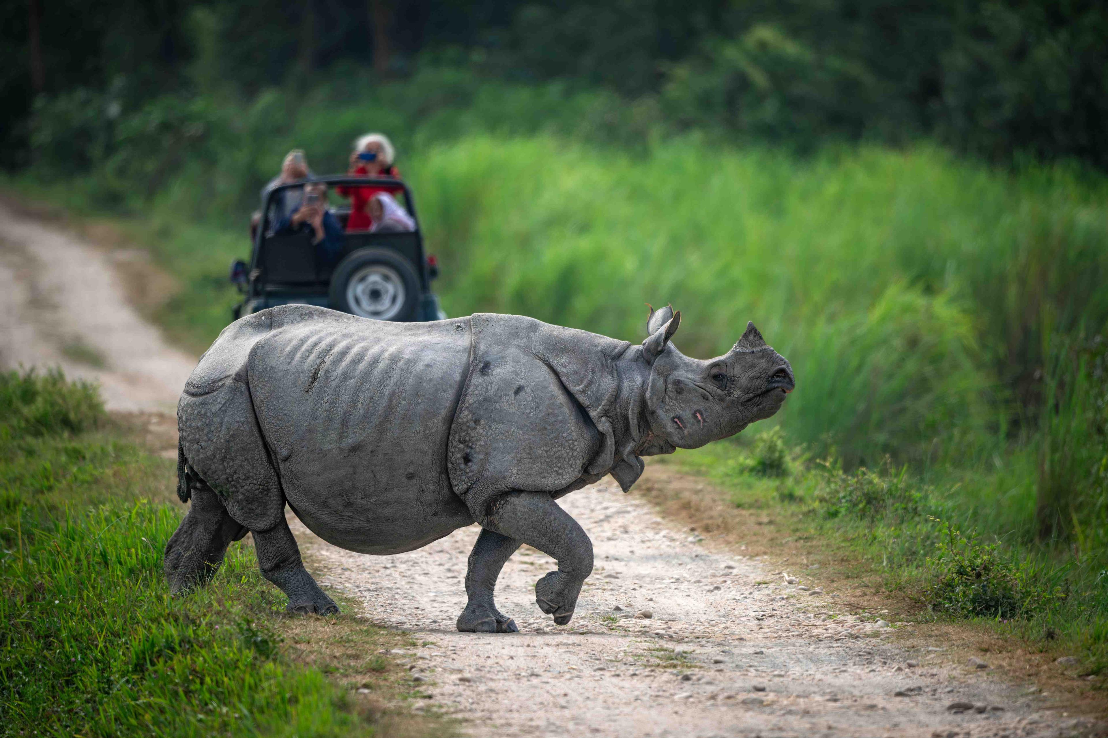 Image for Kaziranga Meghalaya Wildlife Adventure