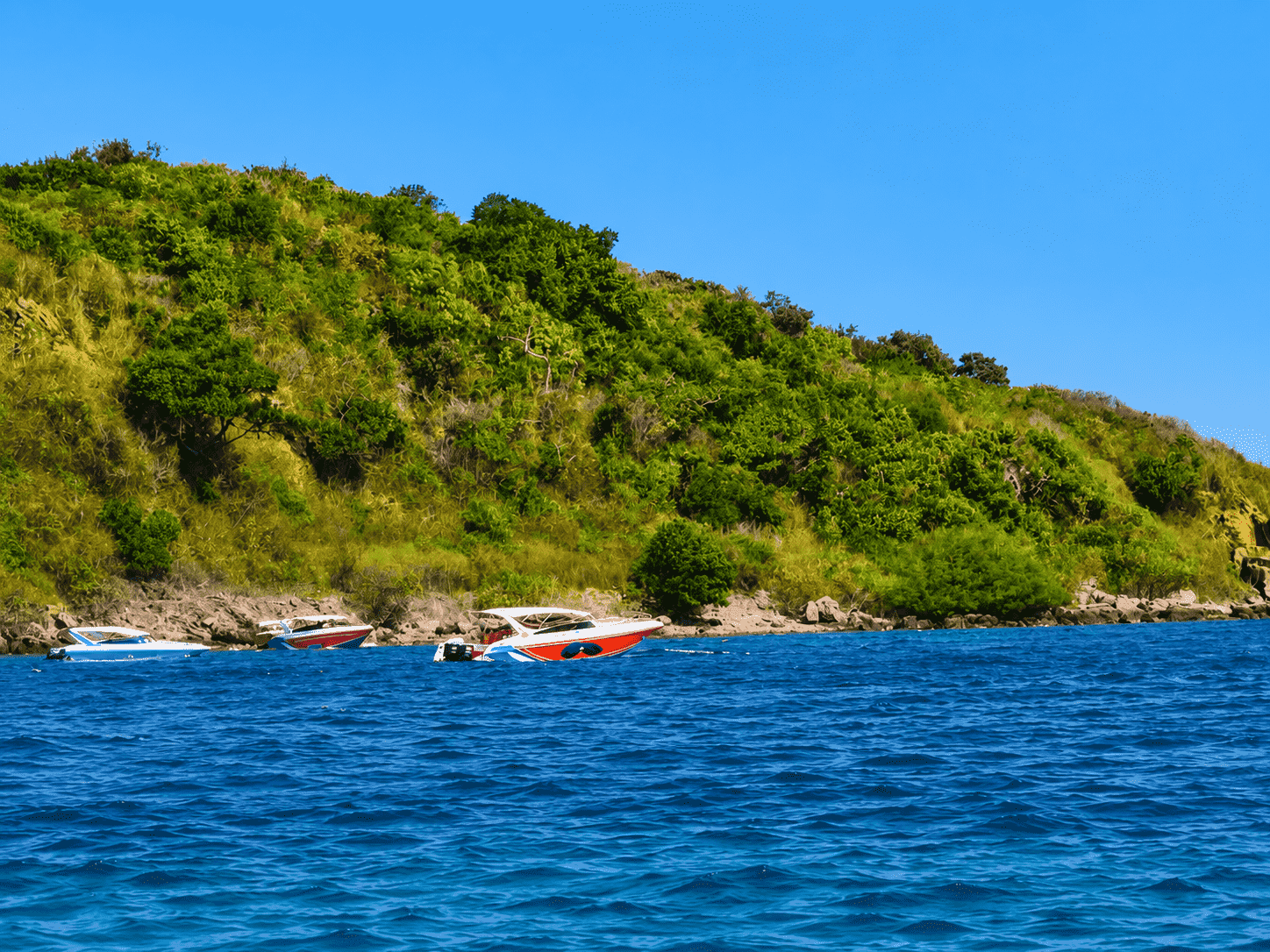 Pattaya Bangkok Explorer