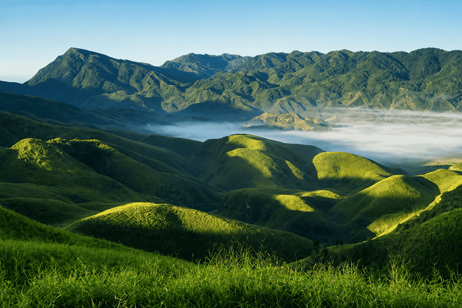 Wallet-Friendly Nagaland : 06 Days Tour