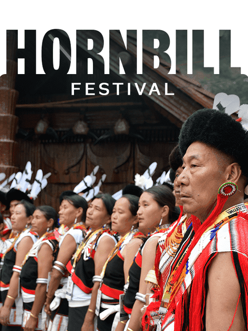 Hornbill image