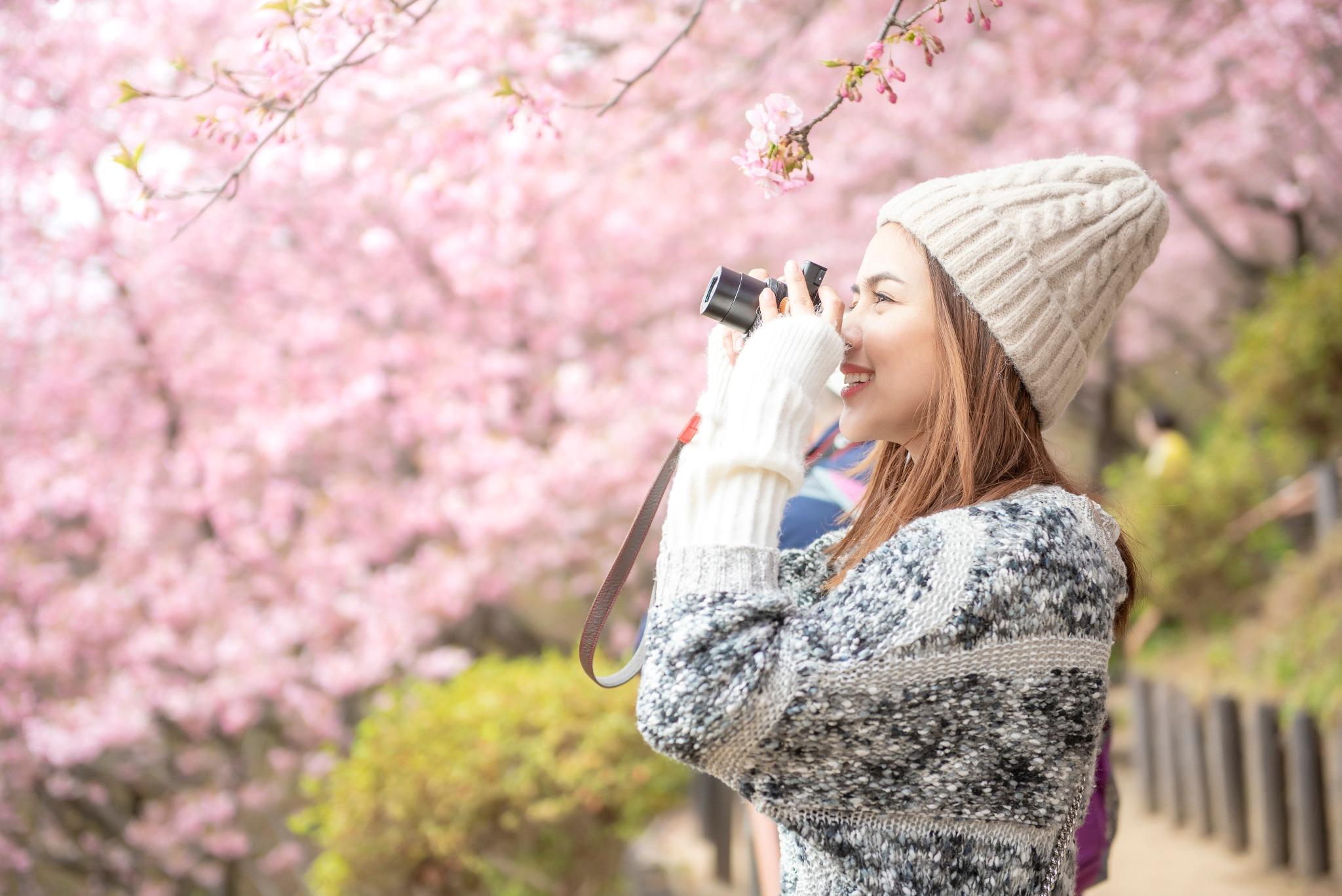 Image for Japan Tour Package - Cherry Blossom Edition