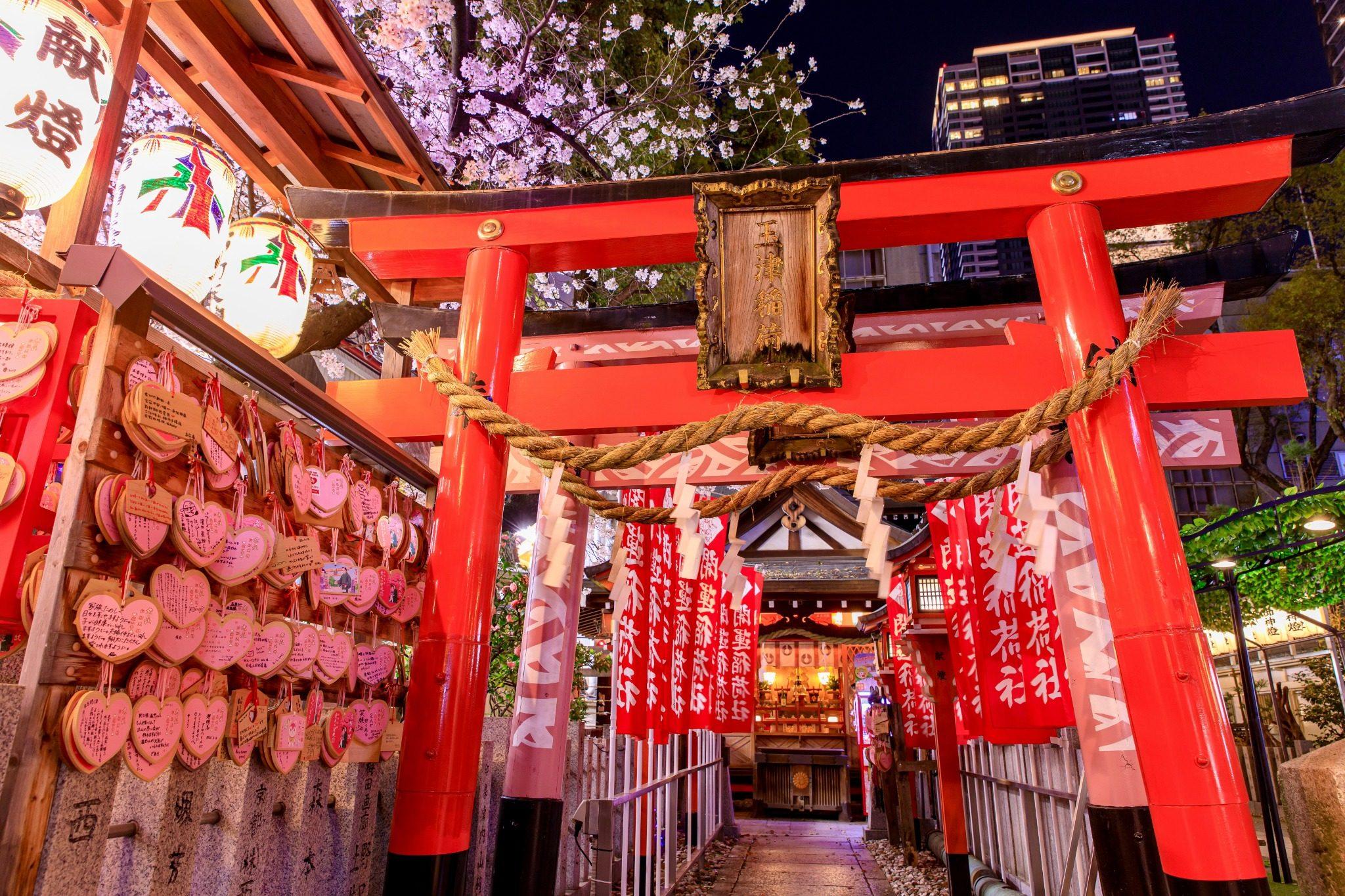 Japan Tour Package - Cherry Blossom Edition