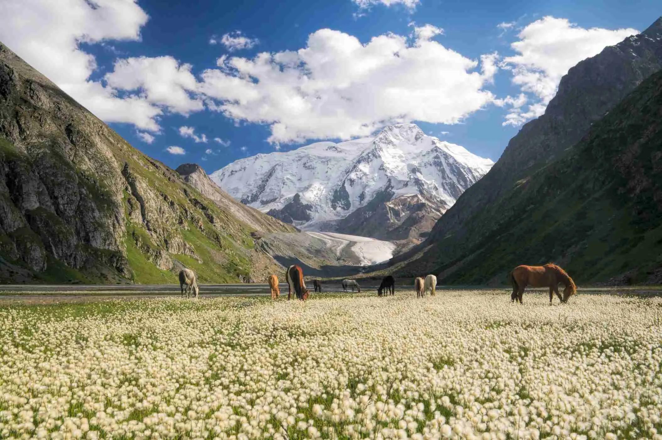 Image for Kyrgyzstan Adventure Tour