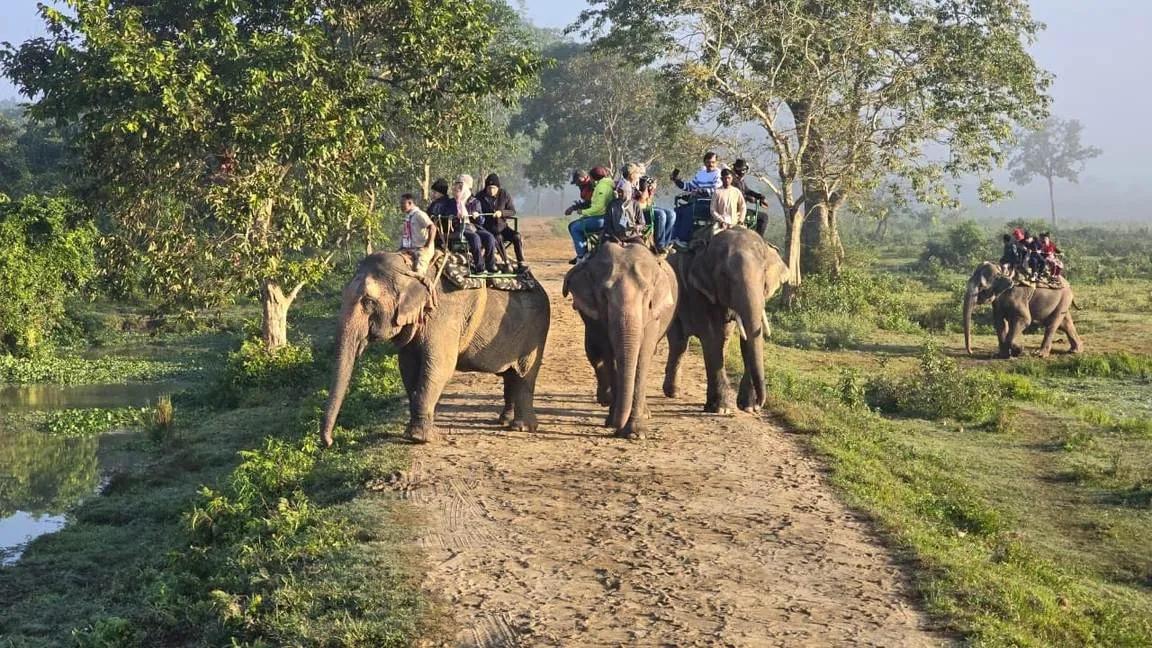 Image for Group Trip to Meghalaya with Kaziranga