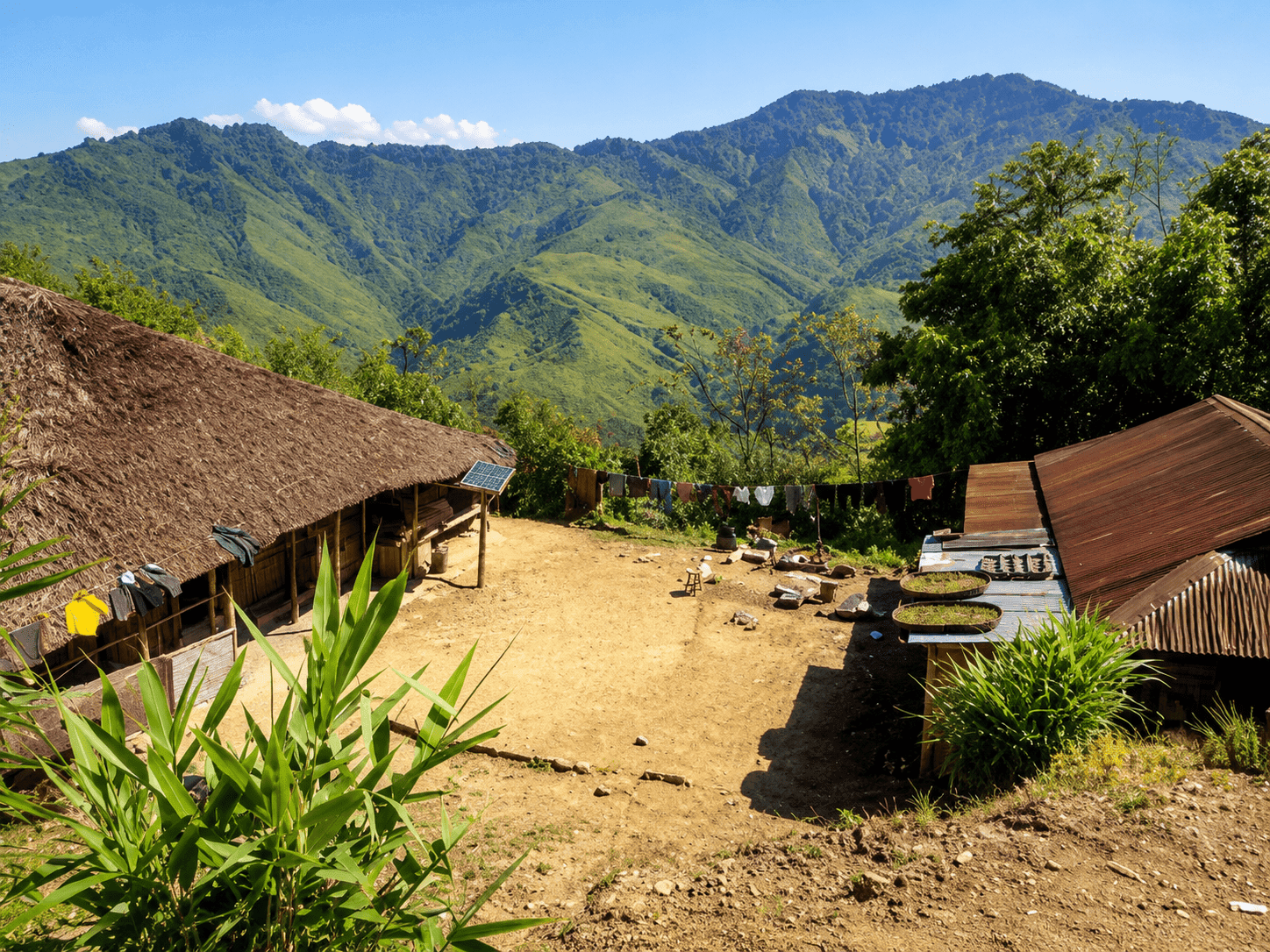 5-Day Nagaland Budget Explorer