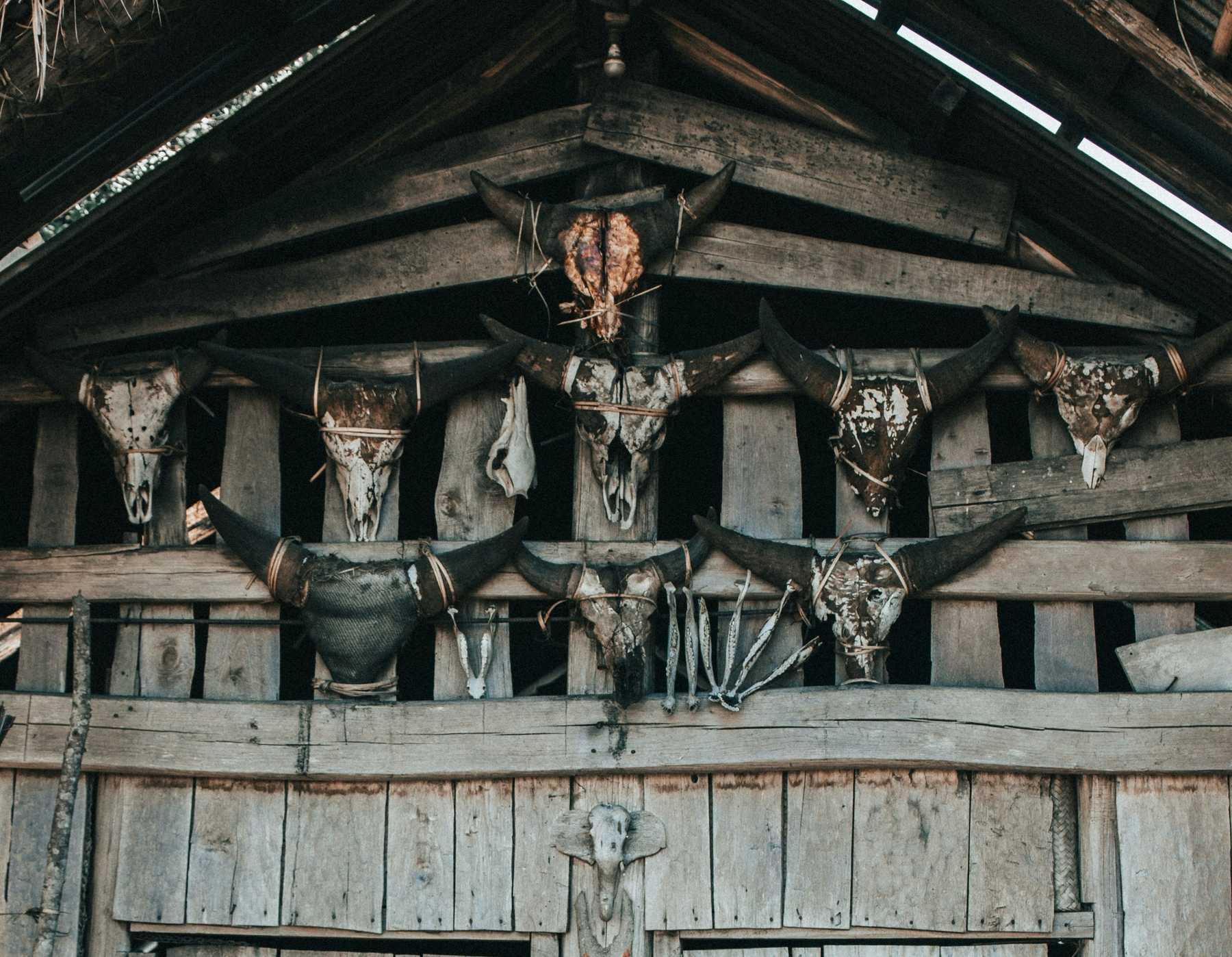 Nagaland