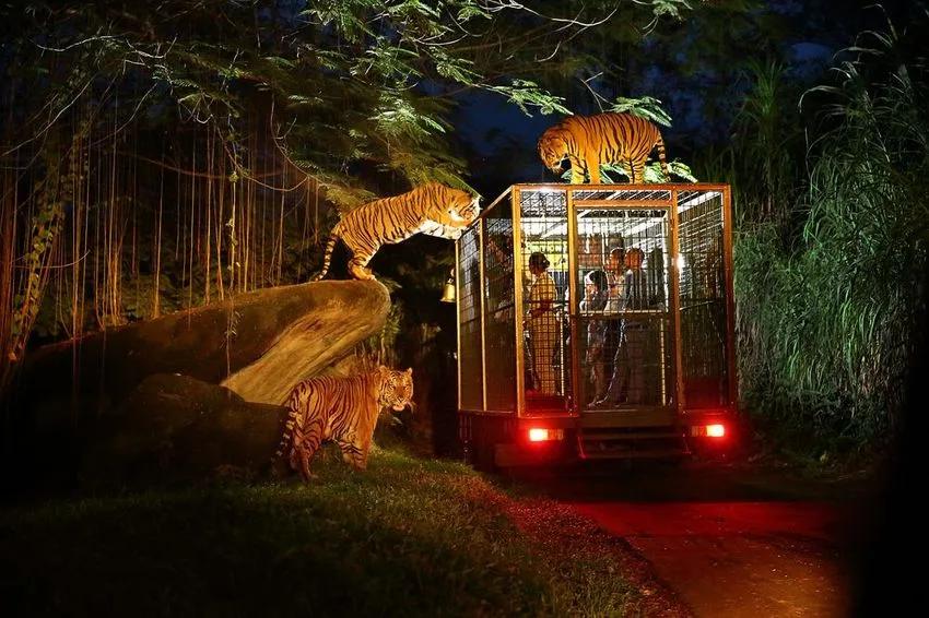 Image for Singapore City & Night Wildlife Escape