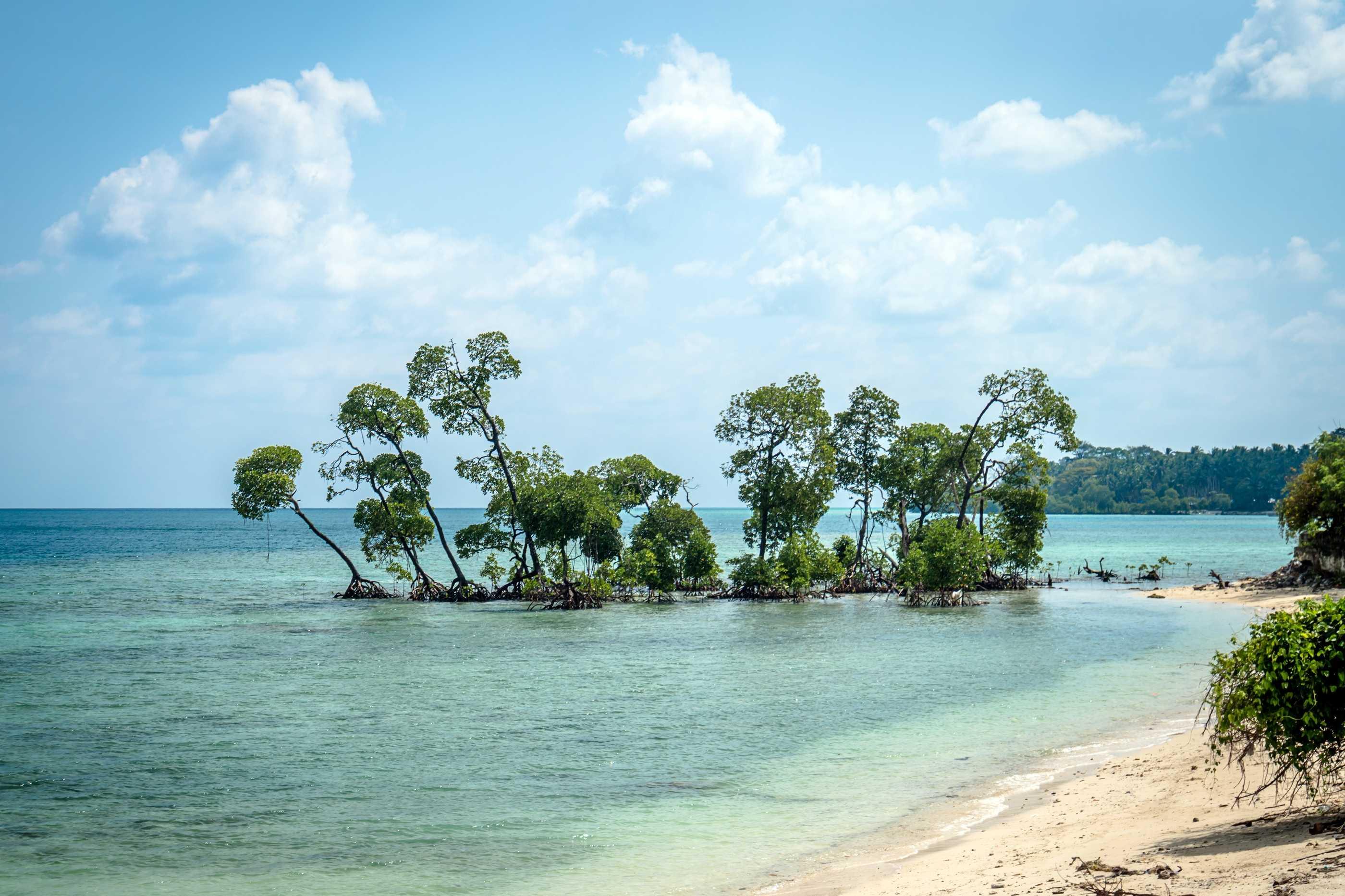 Island Adventures in Andaman : 5 Nights Tour Package