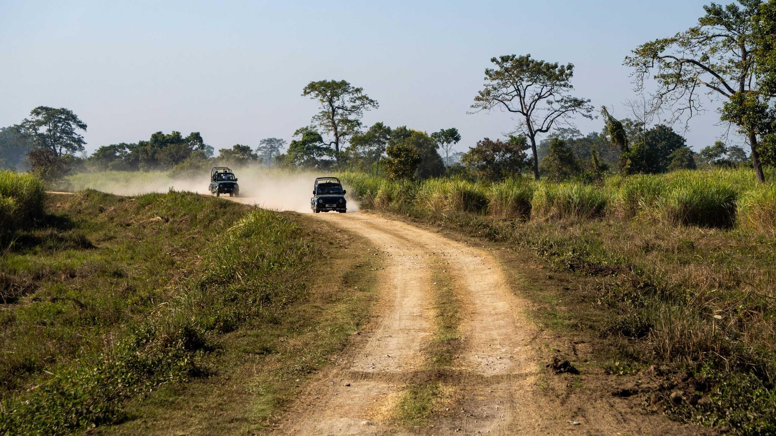Hornbill Festival Closing Ceremony with Kaziranga and Dzukou Valley Trek