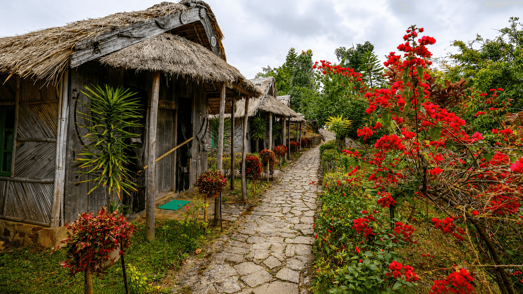 Angami Nagaland: Kohima & Khonoma Village