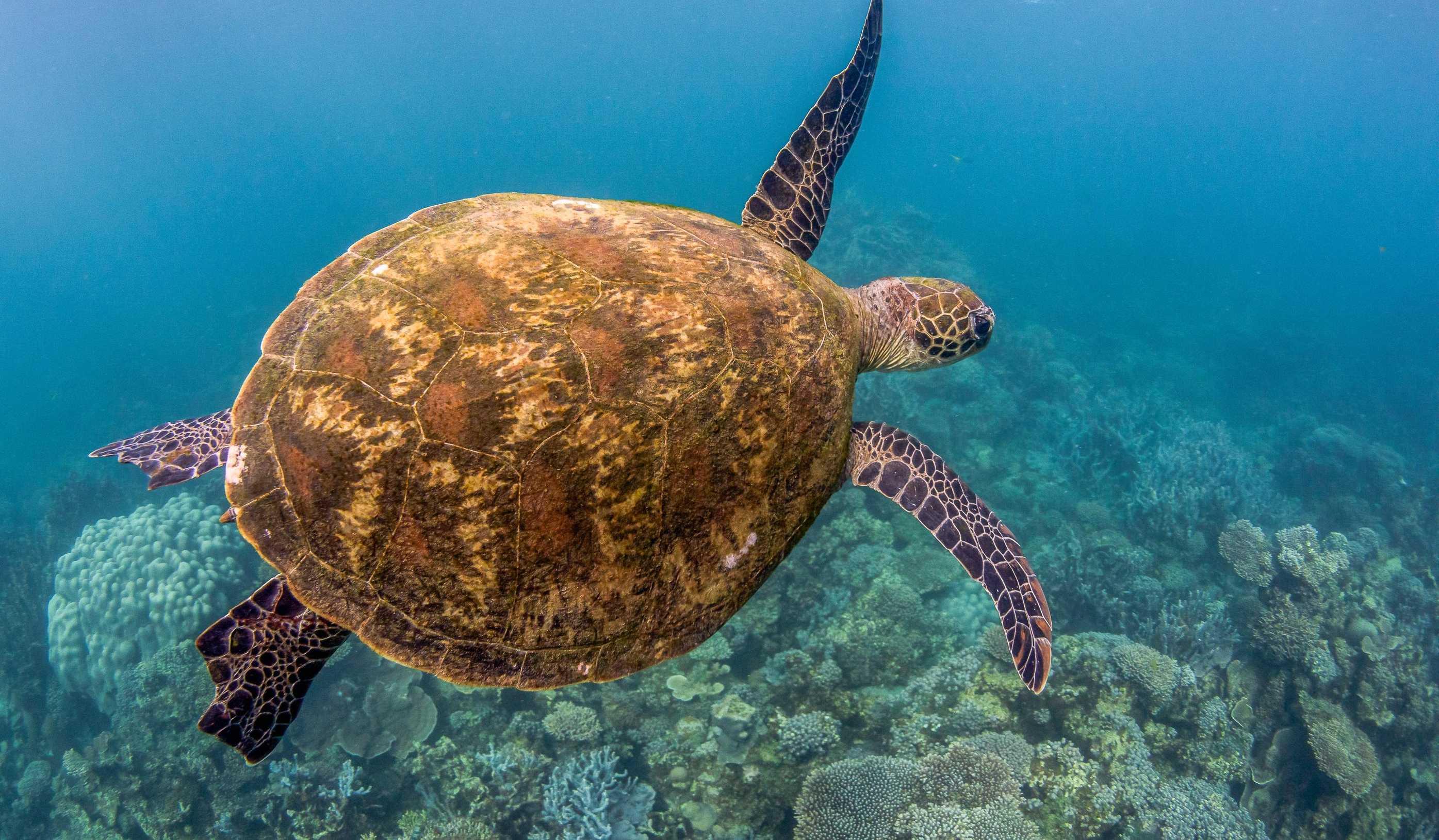 Waves of Andaman : A 7 Nights Andaman Package