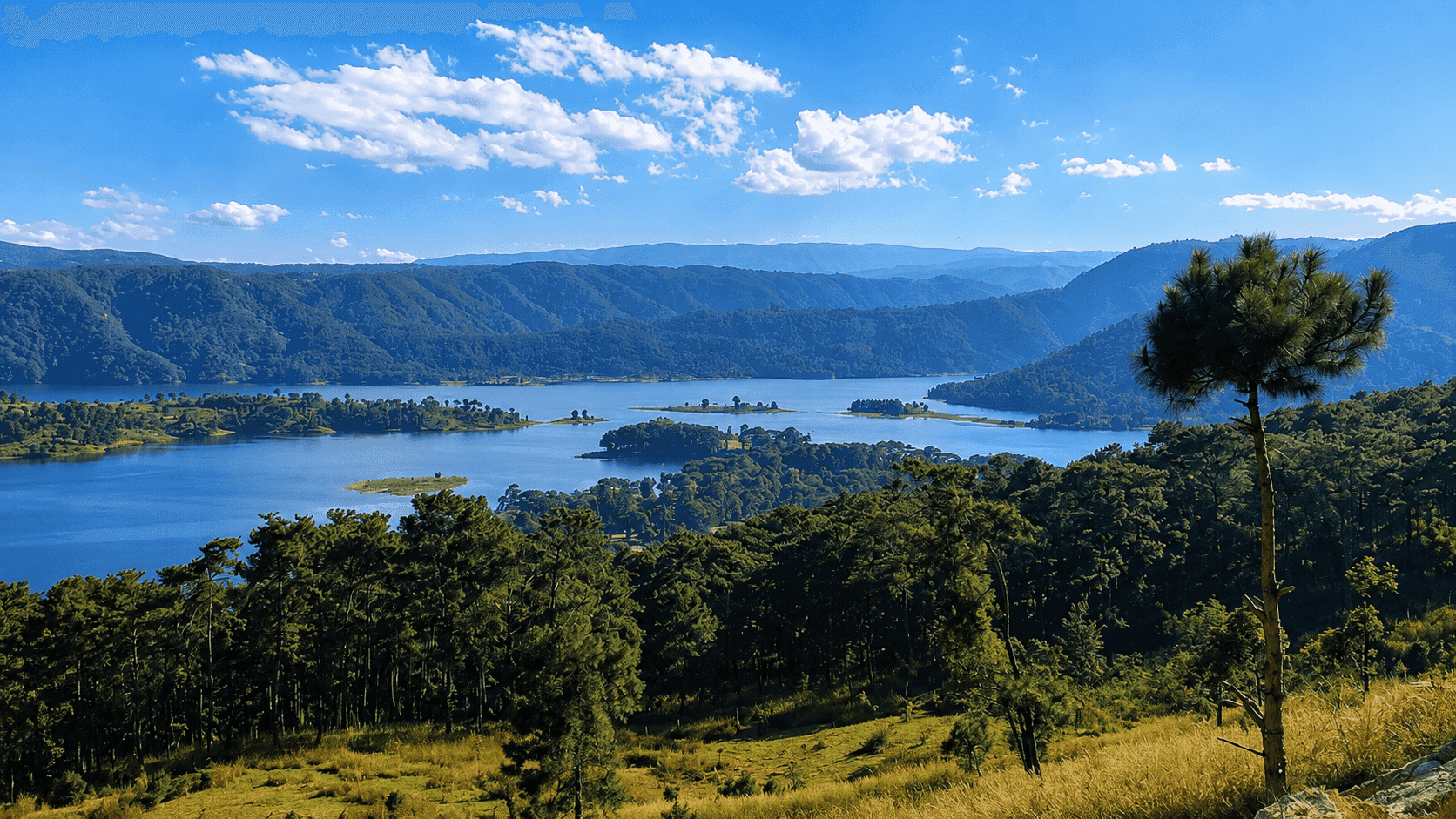 Image for Experience Meghalaya and Discover Wari Chora