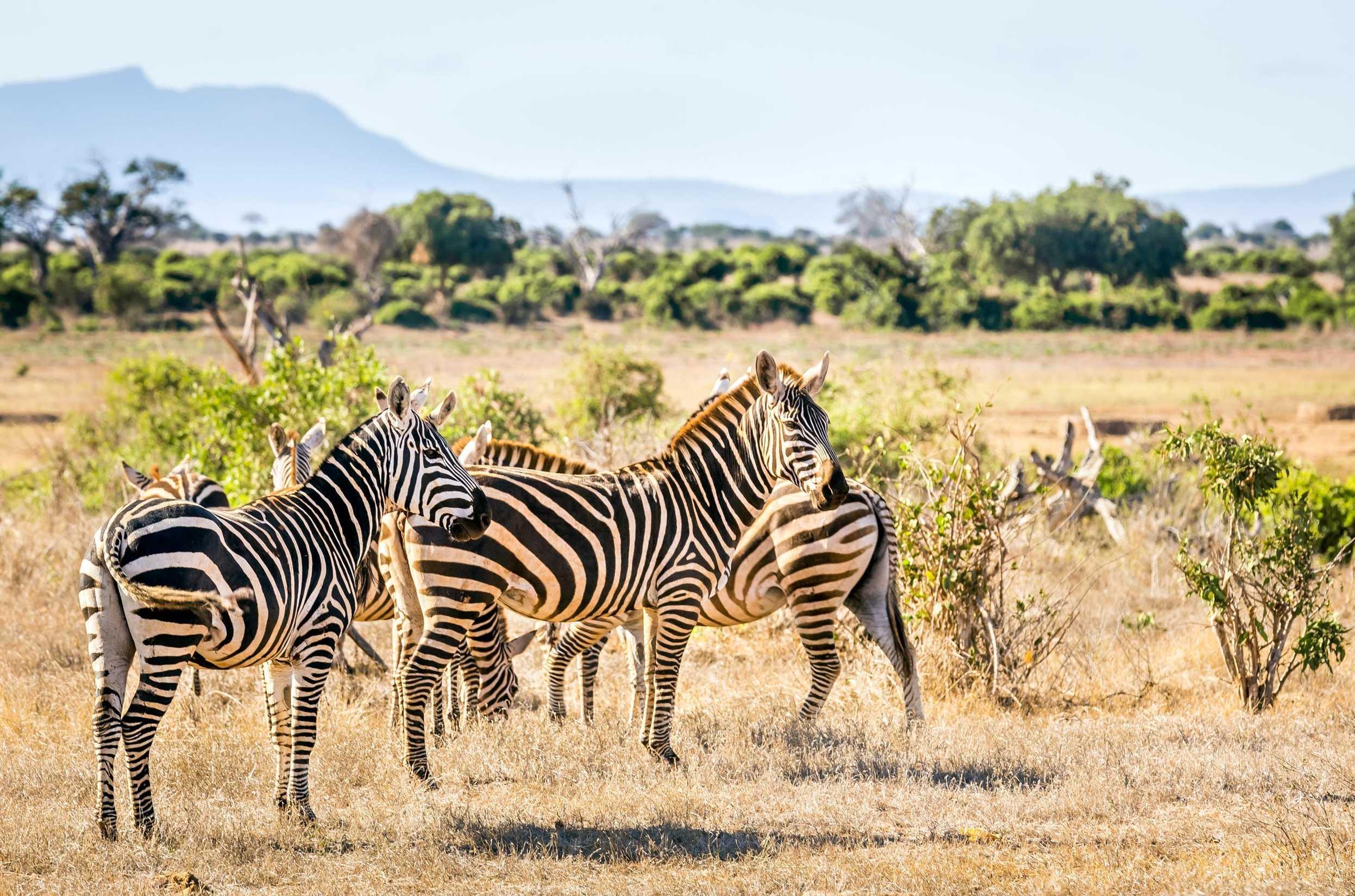 Kenya