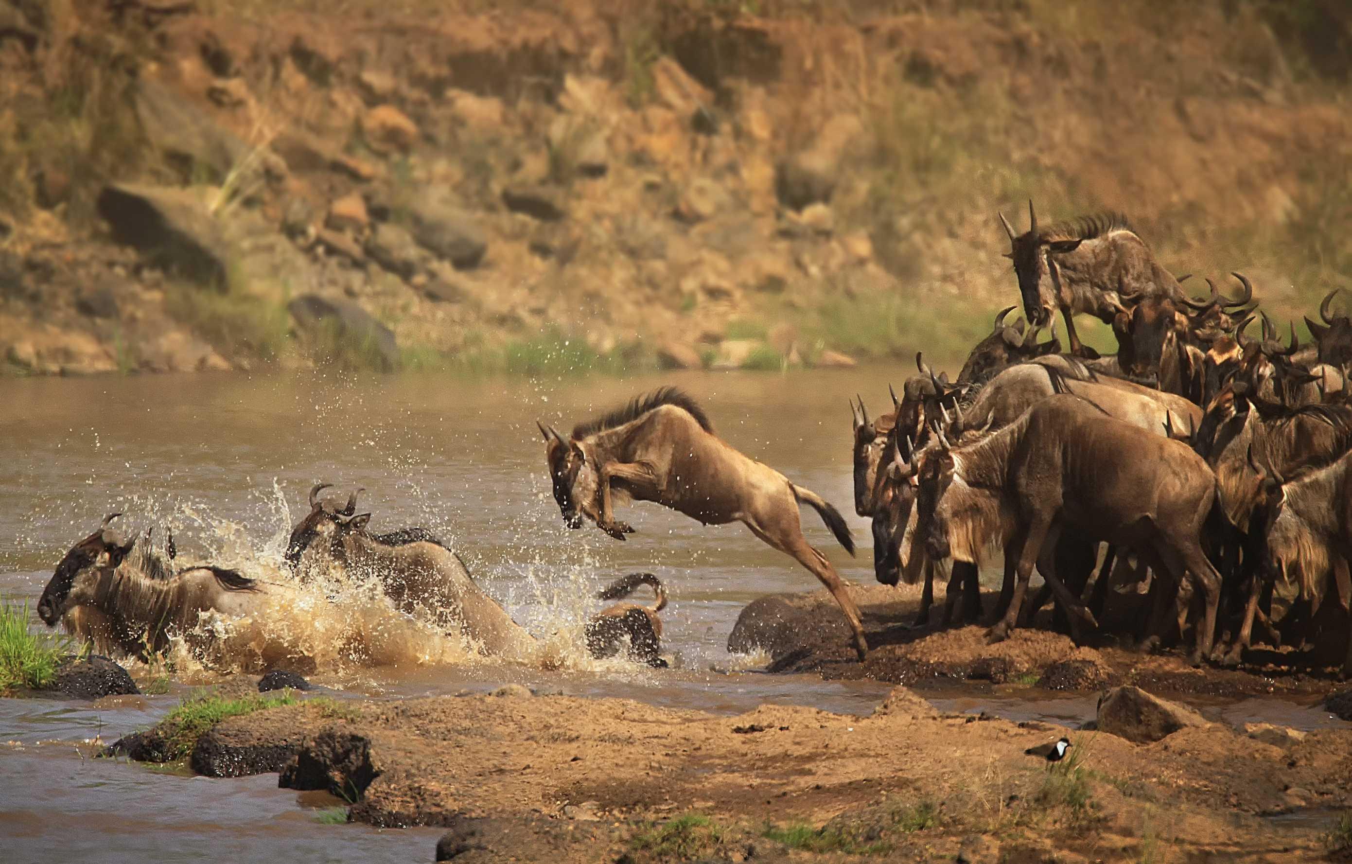 6-Day Kenya Group Safari Tour & Game Drives