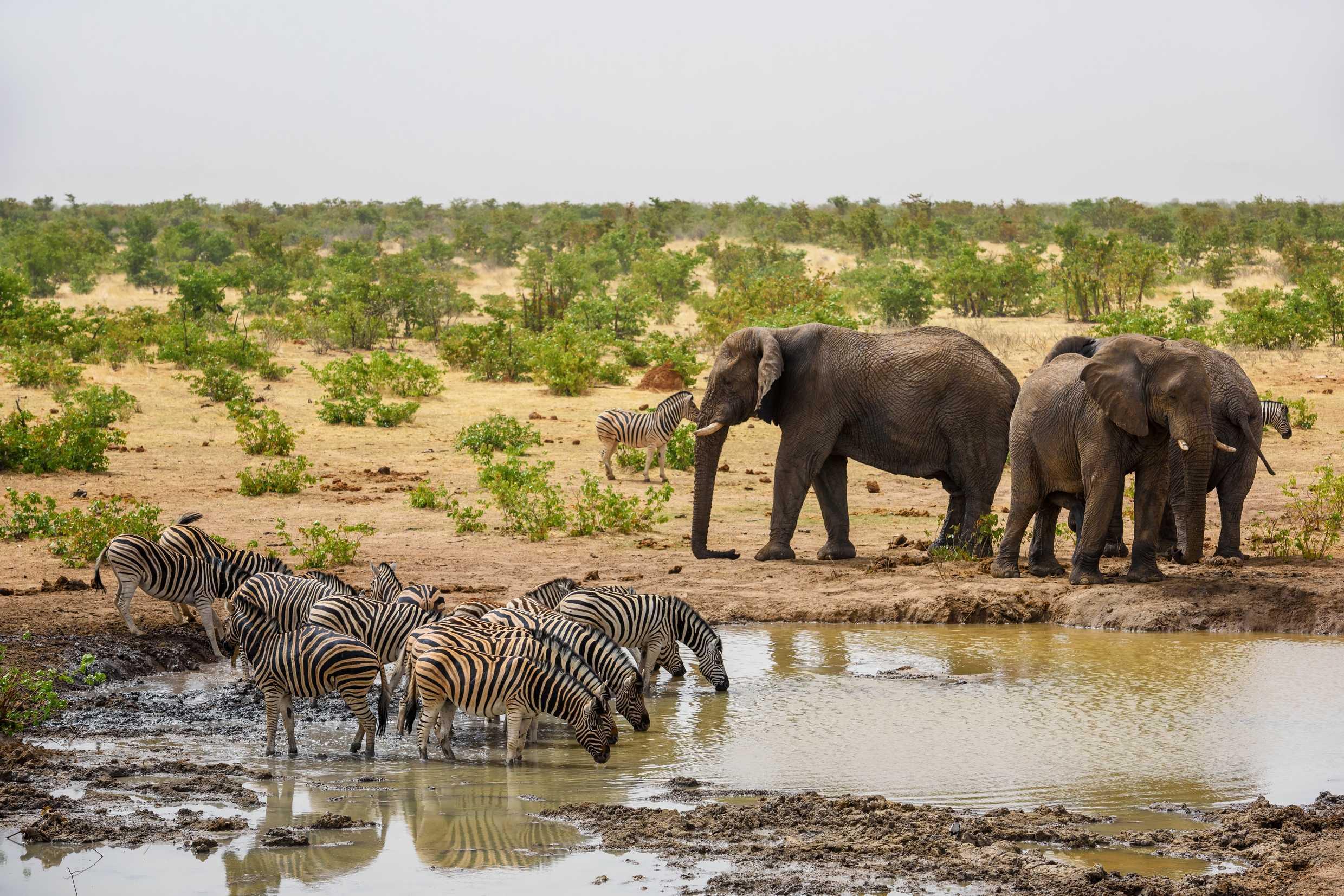 6-Day Kenya Group Safari Tour & Game Drives
