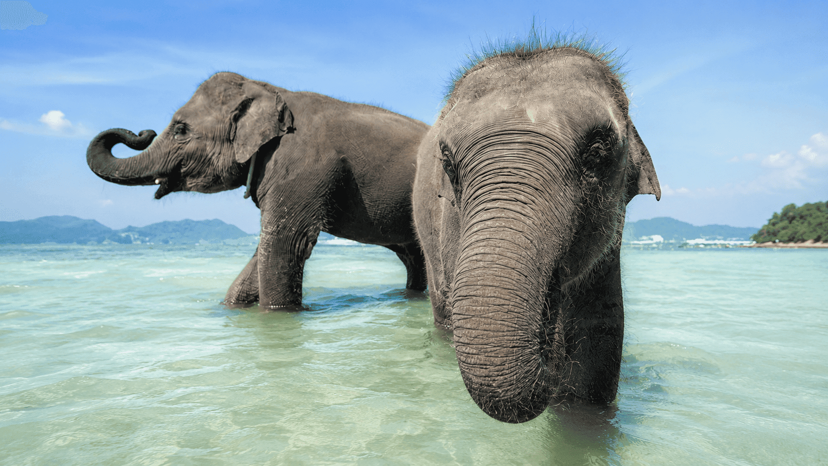 6 Days 5 Nights Budget Andaman Escape