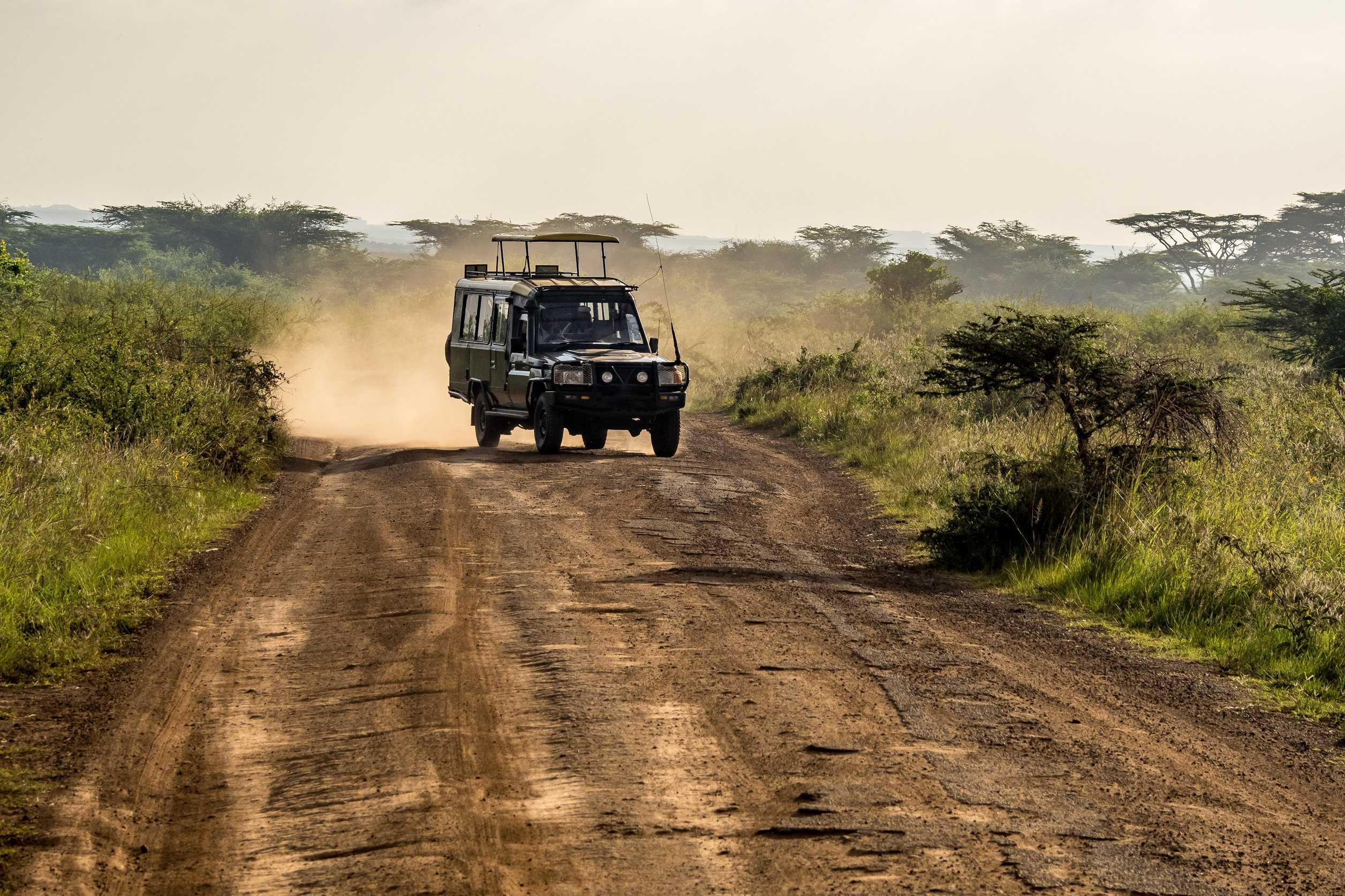 Kenya Wildlife Group Tour: 7-Day Masai Mara Safari