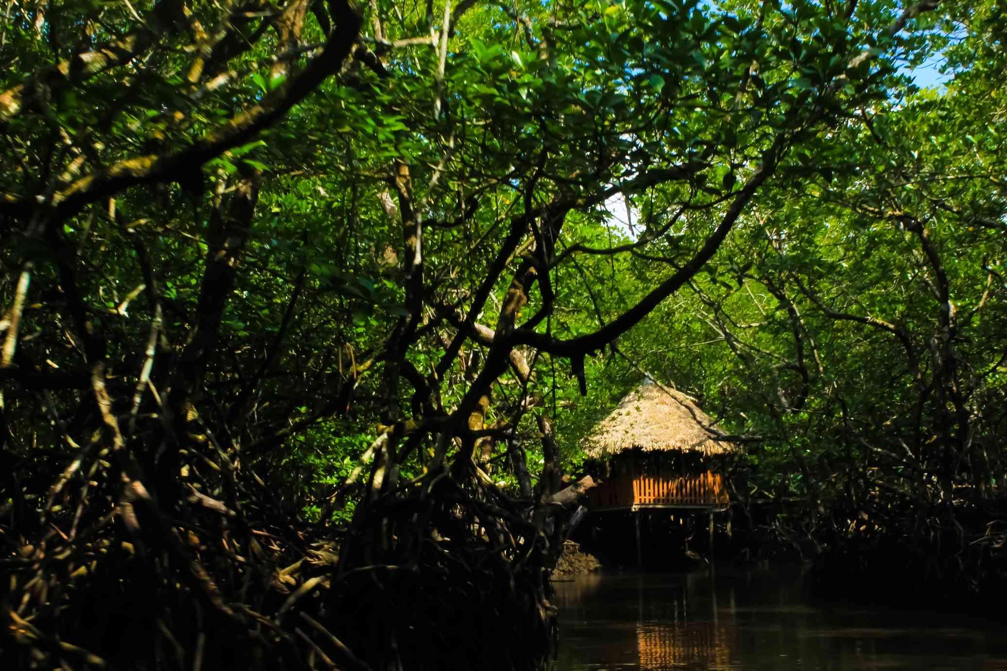 Andaman