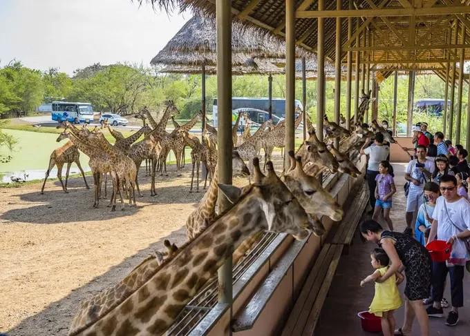 Image for Safari World & Marine Park with Buffet Lunch