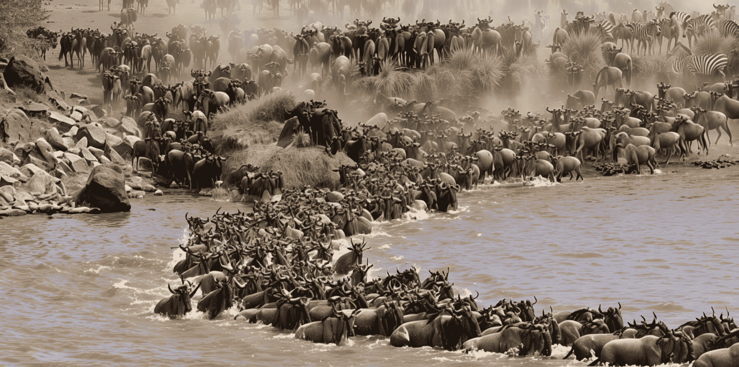 The Great Migration in Kenya: When and Where to Witness It
