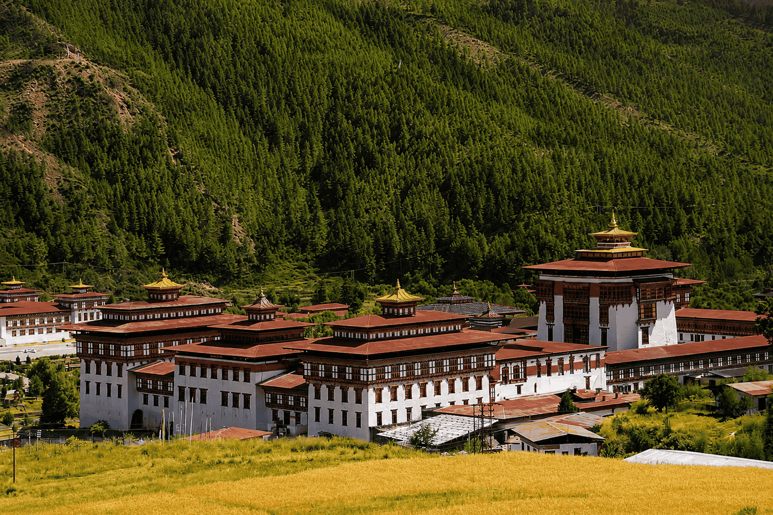 Bhutan Road Trip Ex Bagdogra