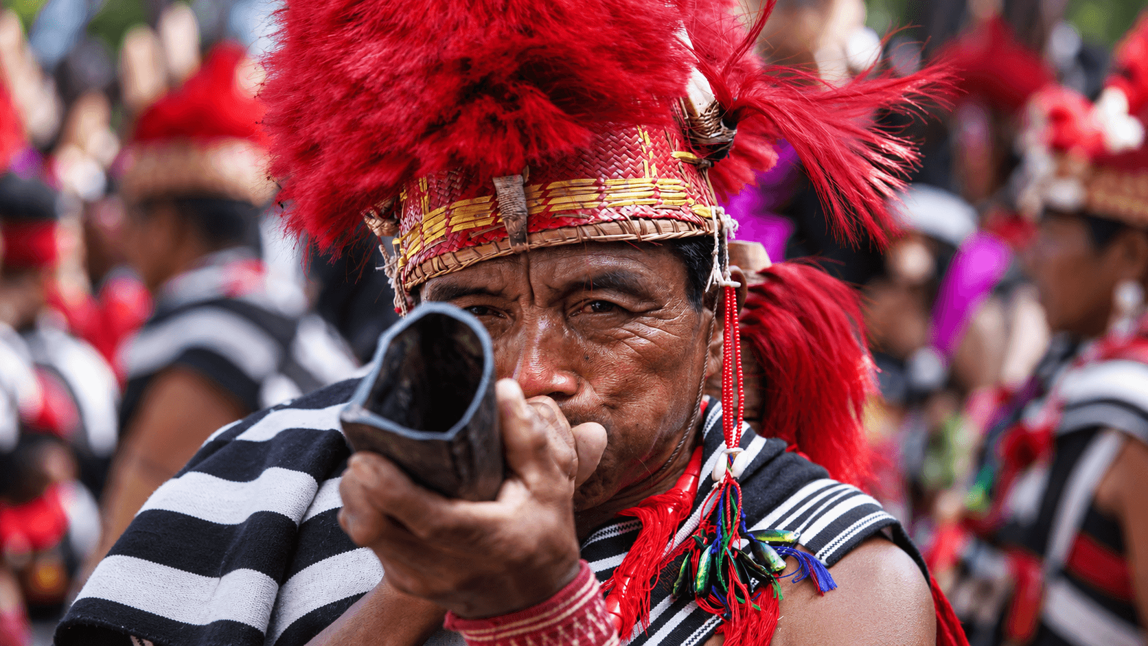 Is Hornbill Festival Safe? Solo & Women Travellers' Guide to Nagaland 2026